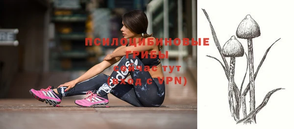 apvp Абинск