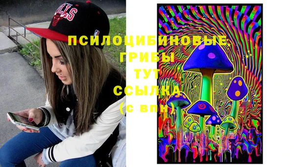 apvp Абинск